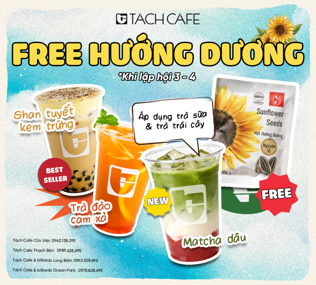 Free hướng dương khi lập kèo 3–4 người